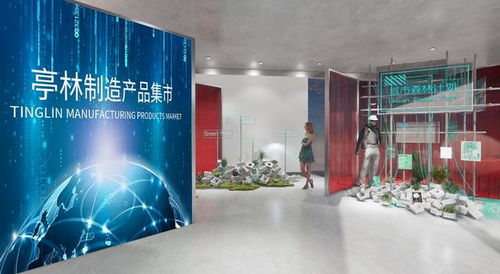 金山這個鎮將全力打造各類工程建設活動，建設產品集市與招商項目簽約共促發展